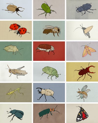 Insetos de Eliza Southwood