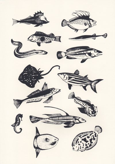 Peixe Comum Monótono, 2015 (papel de parede) de Eliza Southwood