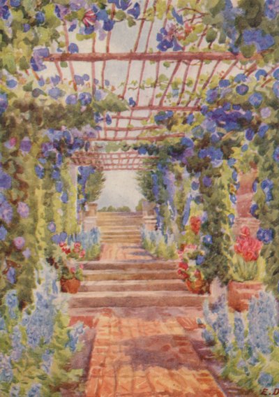 Pérgola coberta com Ipomoea Learii de Grendel, Tygerberg (litografia a cores) de Elizabeth Drake