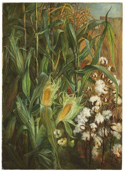 Os Dois Reis: Milho e Algodão de Elizabeth H. Remington