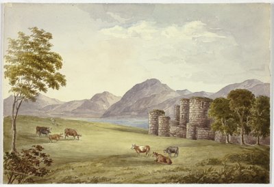 Castelo de Beauman de Elizabeth Murray