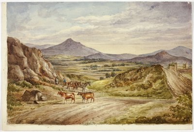 Wicklow Hills de Elizabeth Murray