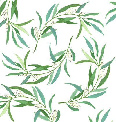 Folhas de eucalipto, 2018 (aguarela e acrílico) de Elizabeth Rider
