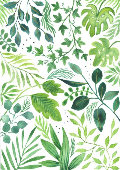 Medalha de folhas, 2018 (aguarela) de Elizabeth Rider