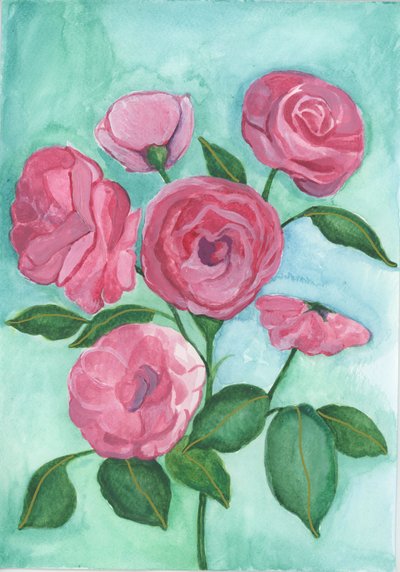 Rosas cor-de-rosa, 2017 (aguarela) de Elizabeth Rider