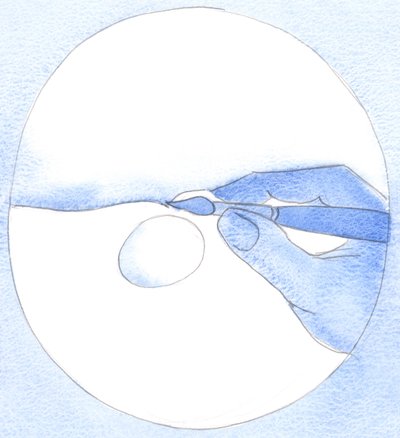 Ao toque do pincel de um artista, o pigmento enche uma poça d&39;água. Pelo nosso &39;toque&39; de oração contrita, nós &39;atraímos&39; a graça de Deus dentro de nós, 2002 (w - c no papel) de Elizabeth Wang