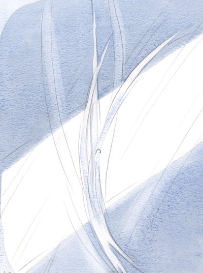 À luz do entardecer, cada criatura, pairando em seu devido lugar, e em movimentos maravilhosos, ecoava a dança majestosa dos anjos no céu, 2000 (w - c no papel) de Elizabeth Wang