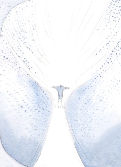 Nossa Senhora alegrou-se quando se separaram na Ascensão, visto que Cristo partiu para ocupar o Seu lugar no Céu, finalmente, para uma grande onda de alegria., 2000 (w - c no papel) de Elizabeth Wang