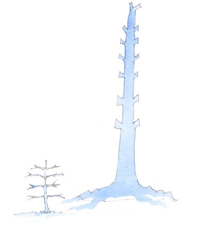 A Igreja cresceu, como um carvalho gigante cresce de uma muda, 2003 (w - c no papel) de Elizabeth Wang
