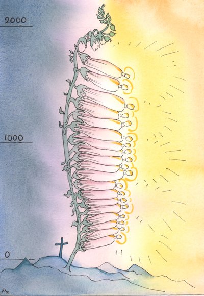A Igreja lança brotos vivos de santidade para florescer em todas as épocas, 2003 (w - c no papel) de Elizabeth Wang