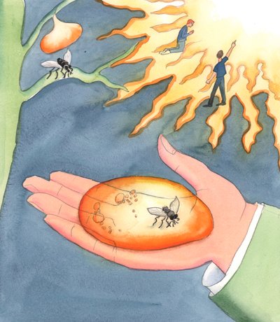 O que significa &39;eternidade&39; do inferno ou céu Significa &39;capturado de forma imutável&39;, seja em egoísmo ou em estado de graça; sendo mantido eternamente sem Deus, pelas escolhas livres de um indivíduo de Elizabeth Wang