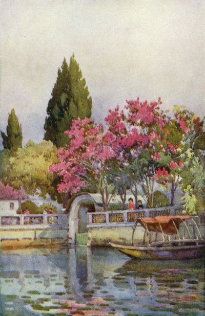 Um Jardim junto ao Lago, Lago d