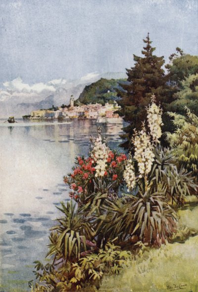Um grupo de Yuccas, Villa Melzi, Lago Como (cor litho) de Ella Du Cane
