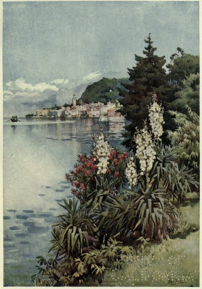 Um grupo de Yuccas, Villa Melzi, Lago di Como, ilustração de 