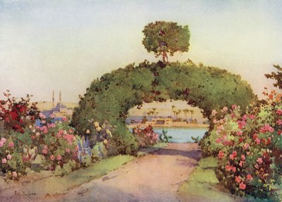 Um jardim de rosas em Gizé e vista do Cairo (lito colorido) de Ella Du Cane