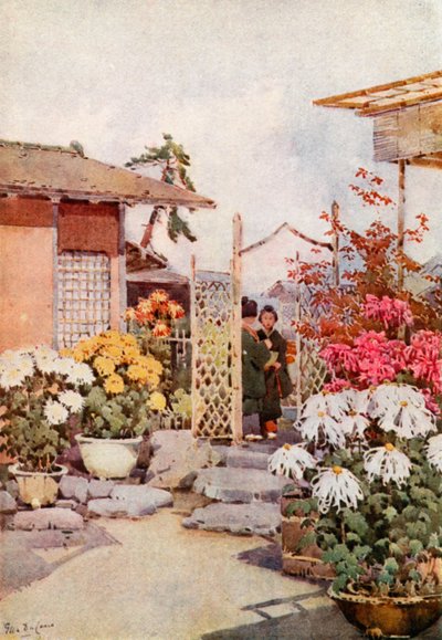 Crisântemos, Kyoto (cor litho) de Ella Du Cane