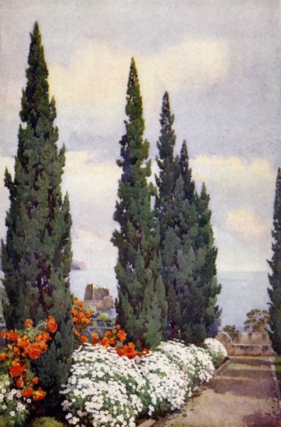 Cypress Avenue, Quinta Stanford (lito a cores) de Ella Du Cane