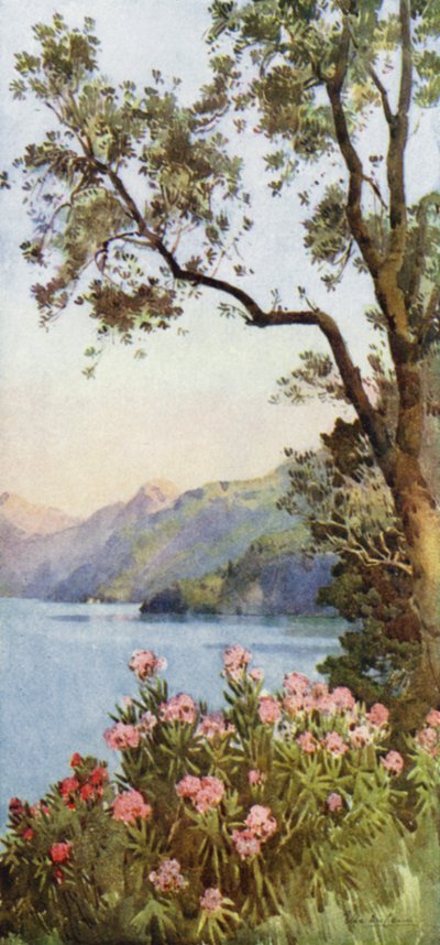 Lago Lecco, Lago Como (lito colorido) de Ella Du Cane