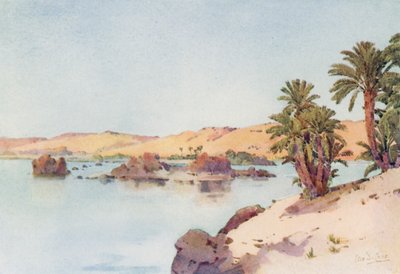 A Bacia da Catarata da Ilha do Elefantino (cor litho) de Ella Du Cane