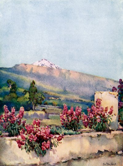 O Pico, da Villa Orotava (lito a cores) de Ella Du Cane