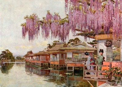 Wistaria, Nagaoka (litografia a cores) de Ella Du Cane
