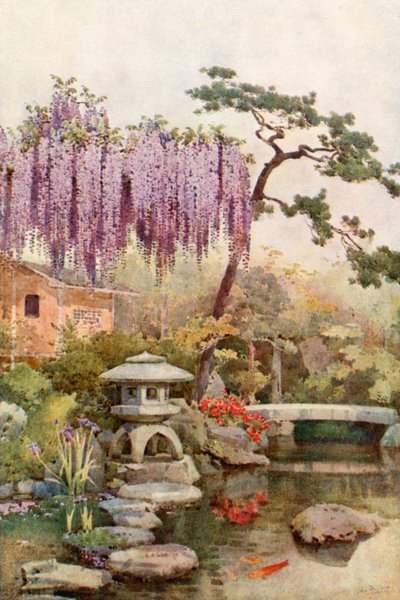 Wistaria num Jardim de Quioto (cor litho) de Ella Du Cane