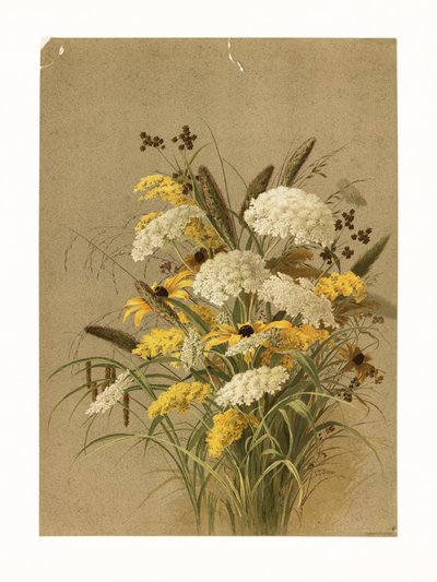 Cicuta, ervas-olho-de-boi e vara-de-ouro de Ellen Thayer Fisher