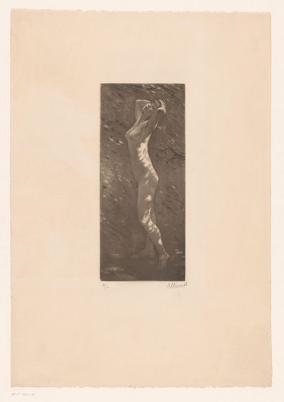 Mulher nua à luz do sol de Ellinnot (signed by artist)