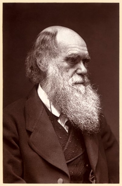 Charles Darwin: naturalista inglês de Elliott und Fry Studio