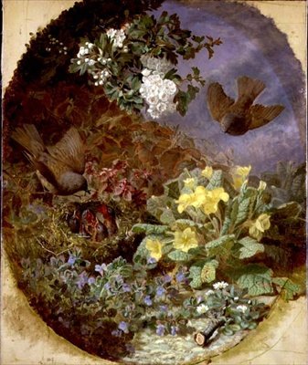 Wrens Feeding their Young in a Nest (s. & d. 1876) de Eloise Harriet Stannard
