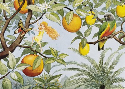 O Ovo do Sol (1932) Sollandet de Elsa Beskow