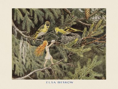 O Ovo do Sol: As Aves de Elsa Beskow