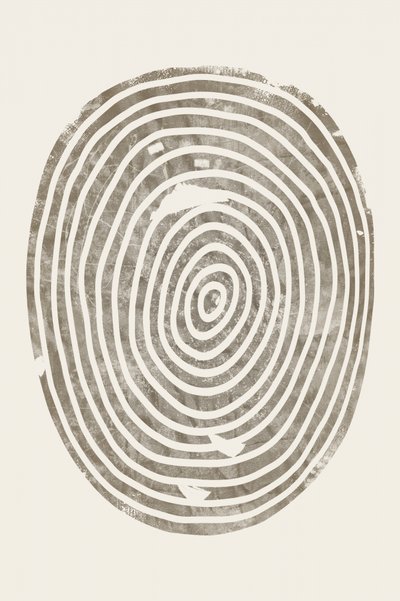 Anéis concêntricos de madeira de Ema Paraschiv