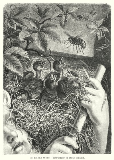 O Primeiro susto (litho) de Emil (after) Schmidt