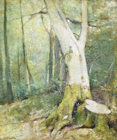 Floresta Interior de Emil Carlsen