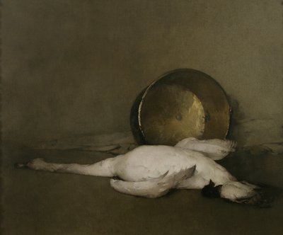 O Cisne Selvagem, 1902 de Emil Carlsen