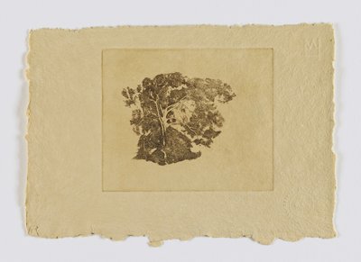 Estudo de árvores (fm. portfolio) de Emil Carlsen