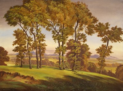 Paisagem com árvores de Emil Ernst Heinsdorff