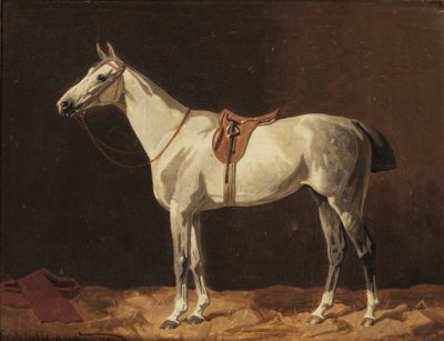 Um cavalo cinzento selado à espera num estábulo de Emil Volkers