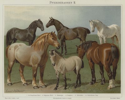 Raças de cavalos de Emil Volkers