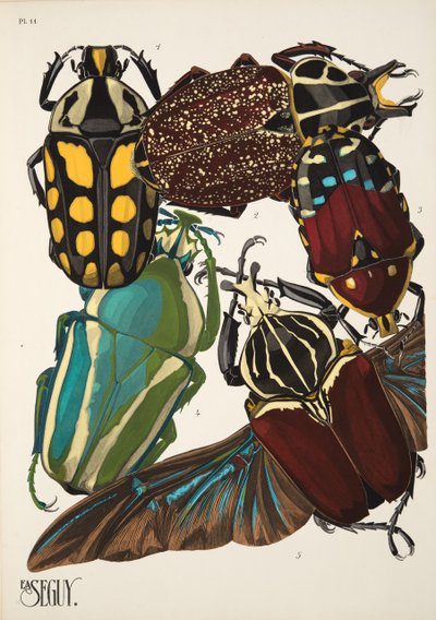 Placa 11 de Insectes, pub. 1930 (impressão pochoir) de Émile Allain Séguy