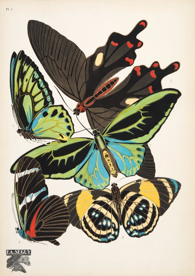 Placa 1, de Papillons, pub. 1925 (pochoir print) de Émile Allain Séguy