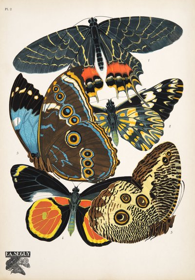 Placa 2, de Butterflies, pub. 1925 (impressão em estêncil) de Émile Allain Séguy