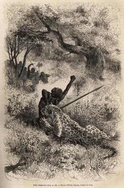 Um leopardo salta sobre um homem e morde-o cruelmente nas suas costas, nas proximidades de Bambare (Congo), gravando depois de um desenho de Emile Bayard, ilustrando o último diário de David Livingstone (1813-1873), em 1866-1873, publicado em "Le tour du m de Emile Antoine Bayard