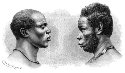 Dois homens da Guiné Francesa, c1850-1890. de Emile Antoine Bayard