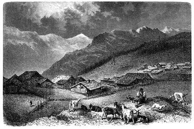 Aldeia nos Alpes. Murren, no Oberland Bernês, a 1630 metros de altitude. Pastor que mantém o seu rebanho de cabras e ovelhas (ovelhas). Ilustração de Emile Bayard para o livro "Les Montagnes" de Albert Dupaigne, edição Mame 1881. de Emile Antoine Bayard