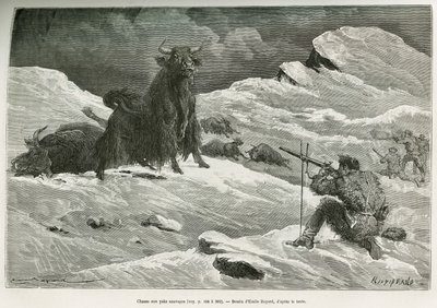 Cena de caça ao iaque selvagem, desenhada por Emile Bayard para ilustrar a viagem à Mongólia e à terra dos Tangoutes de 1870 a 1873, pelo Tenente Coronel Prjewalski. Gravura em Le tour du monde de Emile Antoine Bayard