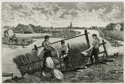 A ferrugem do linho (maceração para facilitar a separação da casca do caule) nos Lys (rio ao norte da França e da Bélgica). Gravação de Emile Claus, para ilustrar a história "La Belgique", de Camille Lemonnier (1844-1913), escritor e crítico de arte. de Emile Claus