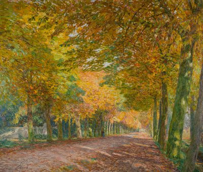 Alameda ensolarada de Emile Claus
