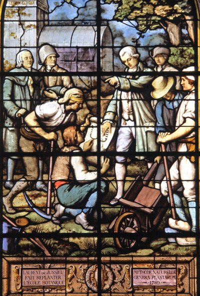 Jussieu replantar a Escola de Botânica, c.1885 (vitral) de Emile Hirsch